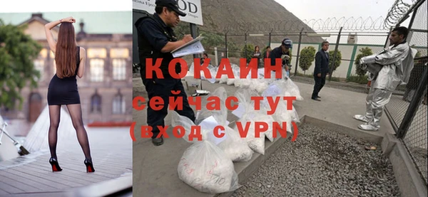винт Абаза