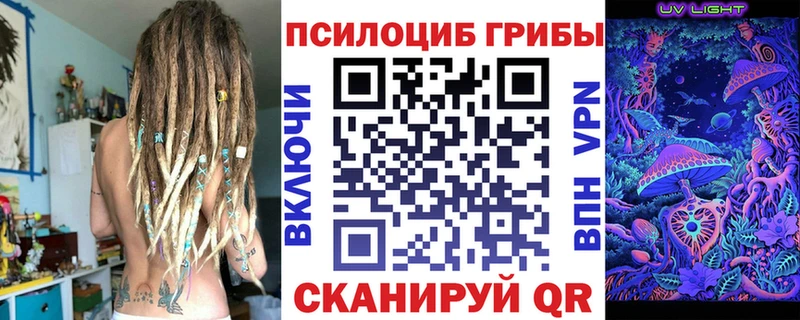 Галлюциногенные грибы ЛСД  продажа наркотиков  Алатырь 
