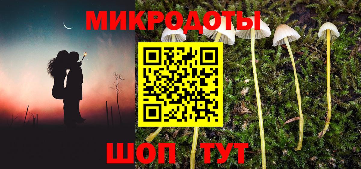 Псилоцибиновые грибы Psilocybe Алатырь