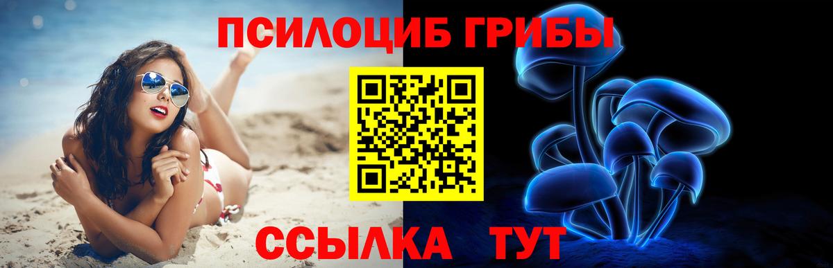 Галлюциногенные грибы ЛСД  Вход с VPN  где купить наркоту  Галлюциногенные грибы Magic Shrooms  Алатырь 